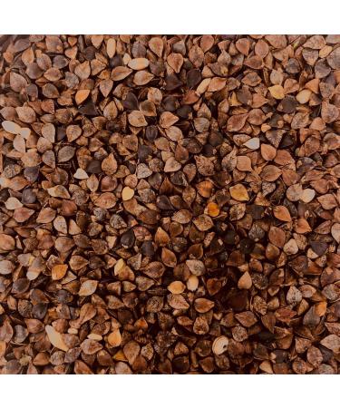 Buy Landixx Buckwheat Seeds 5 kg - Fagopyrum Tartaricum for Catch Crop & Green Manure | International Shipping Available - Buy Online on GoSupps.com