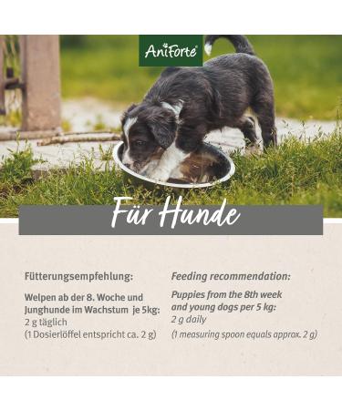 AniForte Junior Active for Puppies and Young Dogs 250g - for Bones Tendons Ligaments Teeth Development Calcium Supplement Vitamins and Minerals for Puppies - Buy Online on GoSupps.com