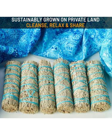 Blue Sage 6 Pack (4-Inch) Smudge Kit Refill | Sustainably Grown Sage Bundles - Buy Online on GoSupps.com