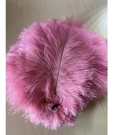 XINdream 8-10inch Pink Ostrich Feather 10pcs Wide Fringe Ostrich Feather Crafts for Wedding Centerpieces Party/Christmas/Home Decorations - Buy Online on GoSupps.com