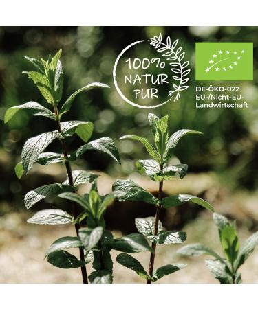 Rimoco N 114 Organic White Pepper - Malabar Peppercorns 80g | Sweet & Mild | Eco-Friendly ZIP Bag (DE- KO-007) - International Shipping Available - Buy Online on GoSupps.com