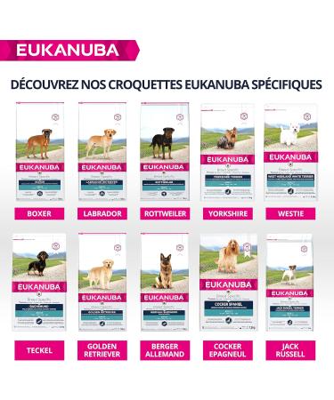 Eukanuba Dog Dry Food Dachshund Chicken 2.5kg - Buy Online on GoSupps.com