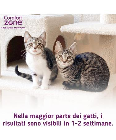 Pheromone Calming Collar for Cats Helps Them Feel Safe and Satisfied Be Calm and Reduce Stress Anxiety and Unwanted Behavior Pack with a Collar Pack with one collar - Buy Online on GoSupps.com