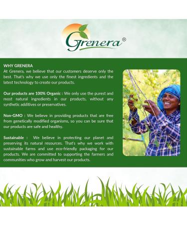 Organic Amla Powder (Amalaki/Indian Gooseberry) - 35.2 Ounce / 2.2 lb - Rich in Vitamin C USDA Organic Lab Tested for Purity Rich in ORAC value 2.2 Pound (Pack of 1) - Buy Online on GoSupps.com