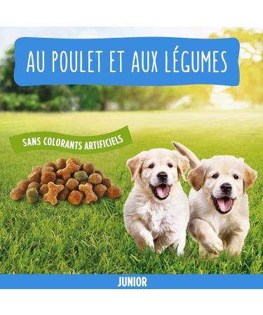 Purina Friskies Junior Chicken Puppy Food 10kg - Buy Online on GoSupps.com