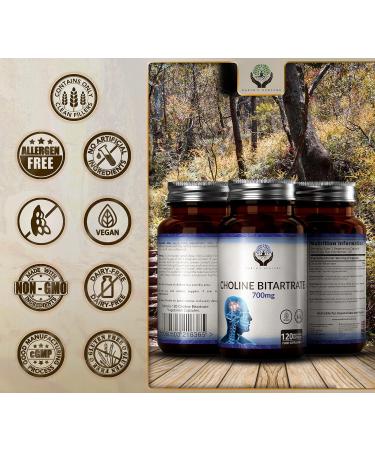 High Strength Choline Supplement - 700mg Choline Bitartrate | 120 Capsules | Non-GMO | Gluten & Allergen-Free | Made in UK - Buy Online on GoSupps.com