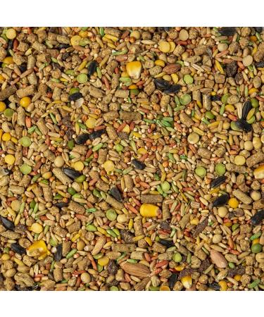 Wild Harvest Advanced Nutrition Diet Hamster/Gerbil 4lb Yellow - Buy Online on GoSupps.com