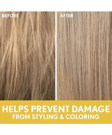 Aveeno Sunflower Oil Blend Shampoo for Dry Damaged Hair - 12 Fl Oz - Buy Online on GoSupps.com