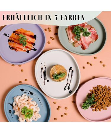 High-Quality NE & NO Food Bowl for Small Dogs & Puppies | Travel-Friendly Silicon Wide Bowl for Dry & Wet Food | Durable Water Bowl - Stone Gray - Buy Online on GoSupps.com