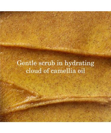 Tatcha Kissu Lip Scrub - Moisturizing Peach Seed Lip Exfoliant for Smooth Polished Lips | International Shipping Available - Buy Online on GoSupps.com