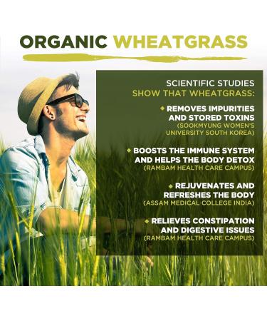 Organic Wheatgrass Powder 200g - High Chlorophyll Content - MySuperfoods - 1 Pack - Buy Online on GoSupps.com