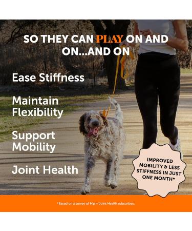 Pethonesty Hip & Joint Health Supplement for Dogs & Cats - Glucosamine, Chondroitin, MSM, Turmeric - Advanced Mobility Support - Reduce Discomfort - Chicken Flavor - Buy Online on GoSupps.com