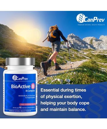 CanPrev BioActive B Vitamin 90 V-Caps 30-Day Supply - B Vitamin Blend with B1 B2 B3 B5 B6 B12 Folate Biotin Choline & Inositol - Perfect for Men & Women - Support Energy & Metabolic Functions 90 count (Pack of 1) - Buy Online on GoSupps.com