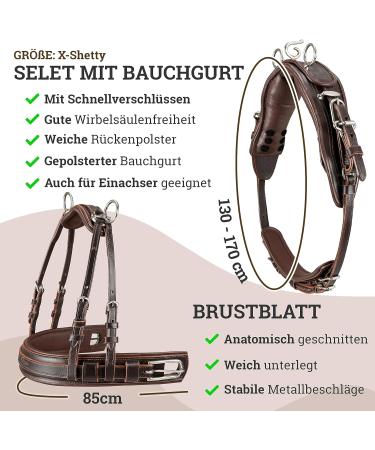 Shop Esposita Professional Carriage Dishes for Shetty Pony & Horse - High-Quality X-SHOTY Brown Routing Dishes for Minishetty to XL Cold Blood - Global Shipping Available - Buy Online on GoSupps.com