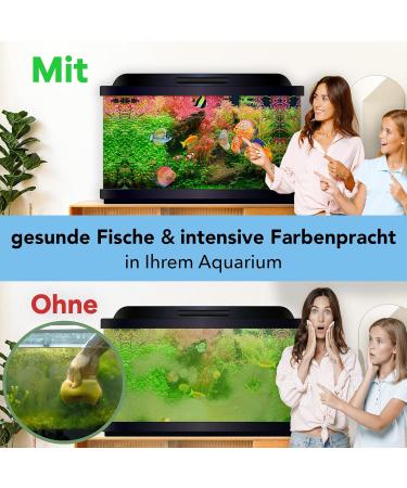 Discusfood Beef Heart XL Nourriture sous forme de granul s pour poisson-disque 80 g - Buy Online on GoSupps.com