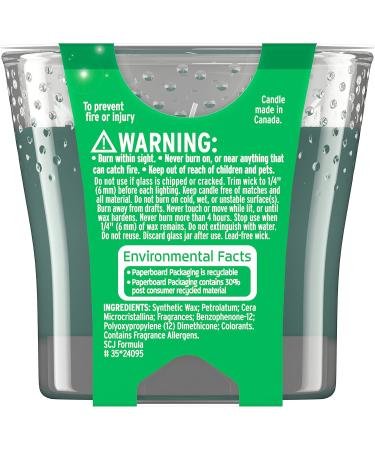 Glade Jar Candles - Essential Oil Infused Air Freshener | 3.4 Oz | Multiple Scents Available (Pine Wonderland & More - Buy Online on GoSupps.com