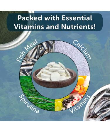 Aquatic Foods Inc. Calcium Feeding Shells Small & Medium for Shrimp Snails Crabs Crayfish Plecos Catfish All Tropical Fish 4-Type Wafer & 12-Type Pellet Mix Included...90 Count Canister 90 Count (Pack of 1) - Buy Online on GoSupps.com