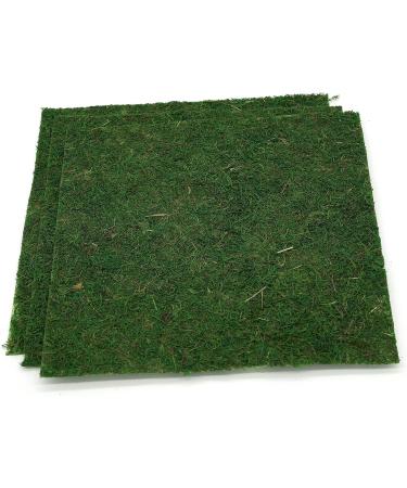 Usmola Moss Mat 11.8 Inch - Pack of 3 Dark Green Moss Mats for Woodland & Garden Party Decor - Buy Online on GoSupps.com