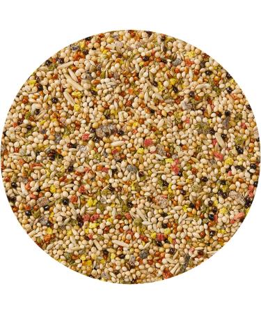 Vitakraft Budgie Fruit Cocktail 200g - Buy Online on GoSupps.com