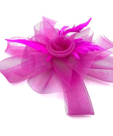 Hot Pink Fascinator Ladies Feather Beak Clip Fascinator / Headband Weddings Races Royal Ascot Hair Piece - Buy Online on GoSupps.com