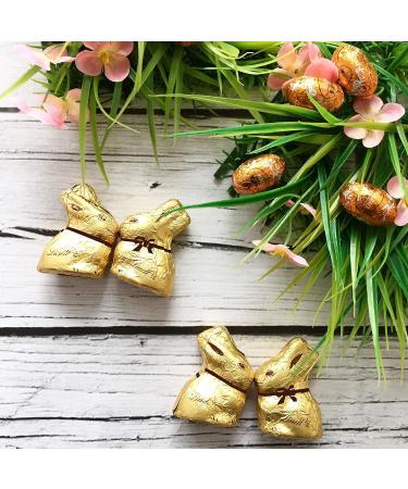 Lindt - Sachet 12 Mini Lapin Or - Chocolat noir - 60% de cacao - Fin et irr sistible - 120g Lot de 4 - Buy Online on GoSupps.com