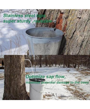Premium Stainless Steel Maple Syrup Taps - Reusable Tree Water Taps for Family Farms & Gardens - Buy Online on GoSupps.com