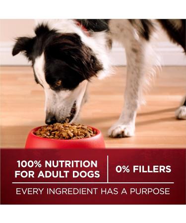 Purina ONE True Instinct High Protein Dry Dog Food Turkey & Venison - 6.8 kg Bag 6.8 kg (Pack of 1) Dog Food - Buy Online on GoSupps.com