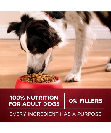 Purina ONE True Instinct High Protein Dry Dog Food Salmon & Tuna - 12.4 kg Bag 12.4 kg (Pack of 1) - Buy Online on GoSupps.com
