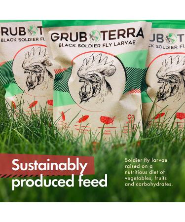 GrubTerra Natural Black Soldier Fly Larvae Chicken Treats - Made in USA & Canada - High Calcium for Chickens, Ducks, and Wild Birds - 5lb Pack (1ct) - Buy Online on GoSupps.com