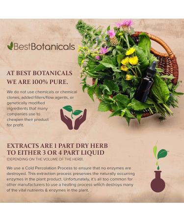Best Botanicals Red Clover Blossom Extract 1 oz. - Buy Online on GoSupps.com
