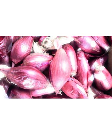 Onions of Tropea Kg. 2.5