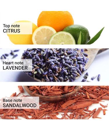 Carrera Jeans UOMO 707 ORIGINAL Eau de Parfum for Men 1 Fl Oz - Buy Online on GoSupps.com