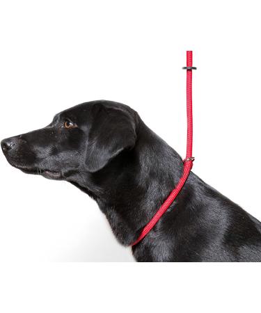 Durable Dog & Field Deluxe Gundog Slip Lead - Super Soft Braided Nylon for All Breeds - One Size, 4 Color Options (Red) - Buy Online on GoSupps.com