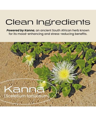 Kanna Extract Energy Drink | Kanna L-Theanine Ashwaganda Blend To Uplift Mood Calm & Focus | 100 mg Organic Caffeine | 28 Cal No Artificial Sweeteners 12 oz (Wild Berry- 4 Pack) - Buy Online on GoSupps.com