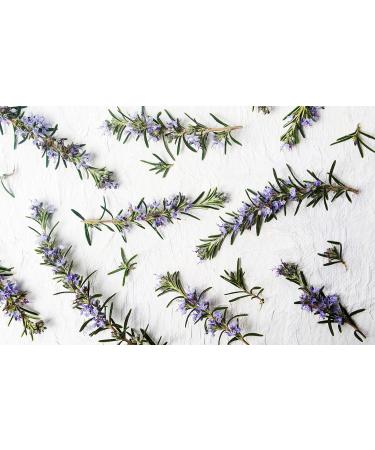 Setunea Organic Olive Oil and Rosemary Oil Body Wash 250ml - Buy Online on GoSupps.com