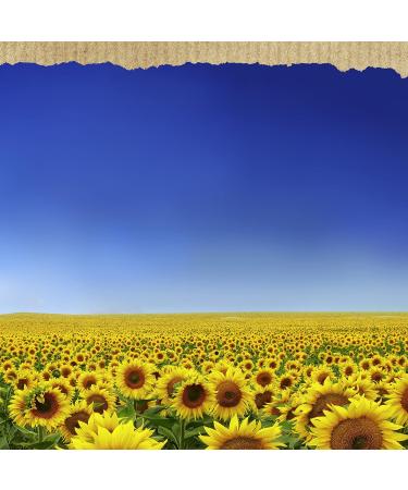 Best Foods Vegan Dressing and Spread 11.5 oz Pack of 3 - Rich & Creamy Plant-Based Mayo Alternative, Same Great Taste, Egg-Free - Buy Online on GoSupps.com