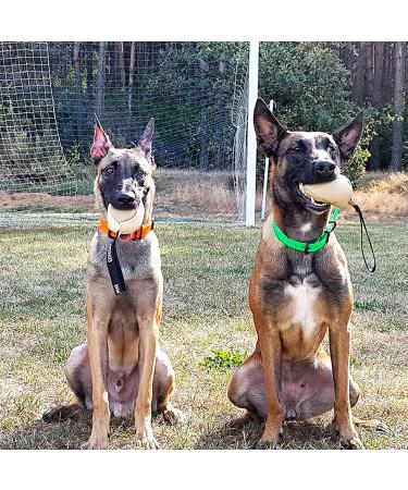 Dingo Gear Dog Toy Softball - Handmade Real Leather for Puppies & Dogs | S02784 8 cm - Buy Online on GoSupps.com