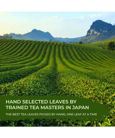 Japanese Green Tea Co Gokuzyo Aracha Japanese Green Tea Highest-Grade Japanese Crude Tea Deep Steamed Sencha Tea Intense Aroma and Taste 50 Tea Pyramid Bags - Buy Online on GoSupps.com