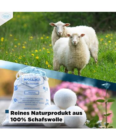 Home DEPT 100% Sheep Wool Dryer Balls | Faster Drying & Softer Laundry | Eco-Friendly Laundry Solution - Buy Online on GoSupps.com