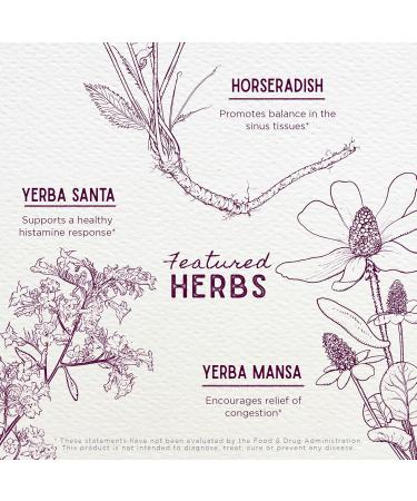 WishGarden Herbs Santa Ana Sniffles - Plant-Based Allergy Relief | Nettle Echinacea Yerba Santa & Horseradish | Soothe Allergy Discomfort & Sinus Congestion - 4oz - Buy Online on GoSupps.com
