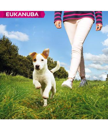 Eukanuba Dog Dry Food Jack Russell Chicken 2kg - Buy Online on GoSupps.com