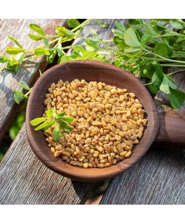  Alpi Nature Alpi Nature Organic Fenugreek Seeds 250g Organic Whole Fenugreek Seeds for Cooking - Buy Online on GoSupps.com