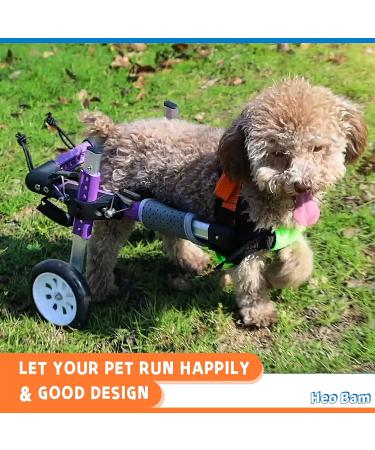 HeoBam Dog Wheelchair - for Small Dog Adjustable Dog Wheelchair for Hind Legs Rehabilitation Pet Rehabilitation Cart Handicap Wheels for Dogs Convenient Dog Wheelchair(XS(B)) - Buy Online on GoSupps.com