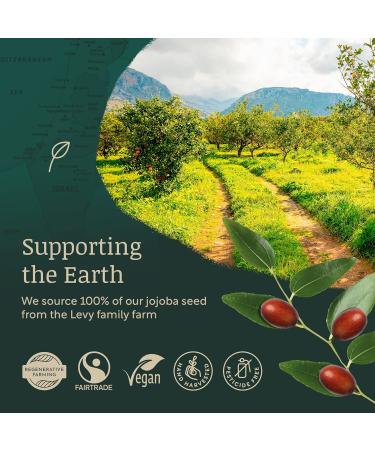 Jojoba Oil - 100% PURE Unrefined Jojoba Oil for Face Organic Jojoba Oil for Hair Hydrates Fights Blemishes and Regulates Sebum Production Jojoba Oil for Skin Cold-Pressed Jojoba Oil Organic - Buy Online on GoSupps.com