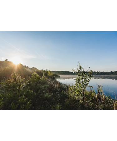 Schwerinnaturheil Edel Deluxe Heat Storage - Natural Moss Filling Ideal Size for Comfort & Wellness - International Shipping Available - Buy Online on GoSupps.com