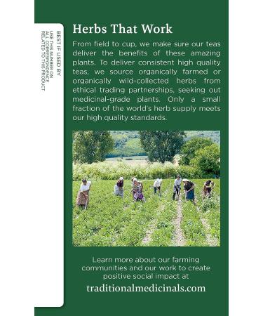 Traditional Medicinals Organic Nettle Leaf Tea - Joint Health & Wellness Support - 48 Tea Bags (Pack of 3) - Buy Online on GoSupps.com