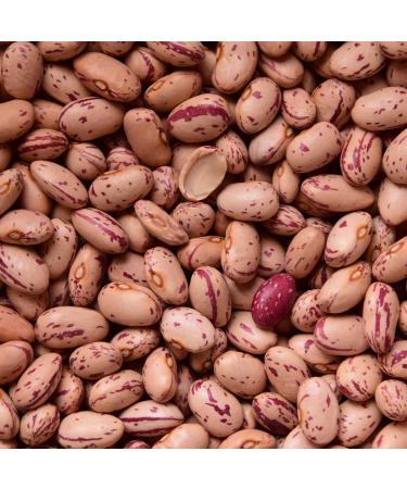 Suntat Pinto Beans (Dried) - 1 kg Pack | Premium Quality International Shipping - Buy Online on GoSupps.com