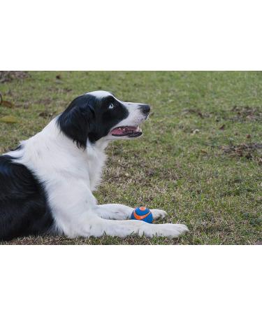 Chuckit! Ultra Squeaker Ball Medium - Pack of 2 | Durable Dog Toy - Buy Online on GoSupps.com