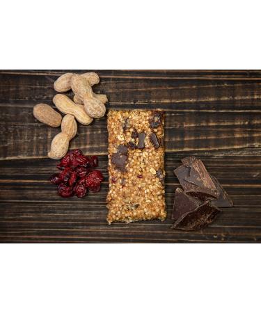 Tahoe Trail Bar - Plant-Based High Protein Energy Snacks - Gluten-Free Vegan Non-GMO - Peanut Butter Chocolate 12 Count - Buy Online on GoSupps.com