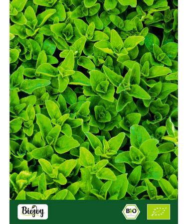 Biojoy Organic ground marjoram (250 g) without additives (Origanum majorana L.) - Buy Online on GoSupps.com